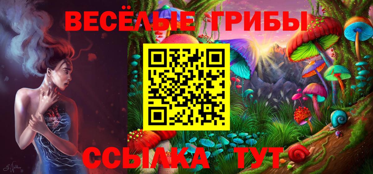 Галлюциногенные грибы прущие грибы  Вход с VPN  Светлоград  что такое наркотик  Псилоцибиновые грибы Psilocybe 